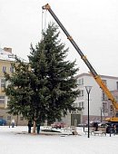 Ilustrační foto k článku: Vánoční strom již zdobí náměstí