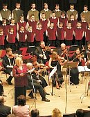 Ilustrační foto k článku: Komorní orchestr města Blanska oslavil třicátiny