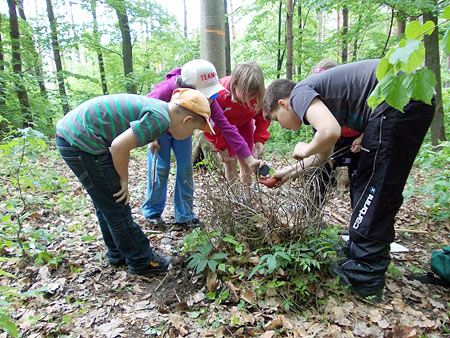 v lese – škola v přírodě