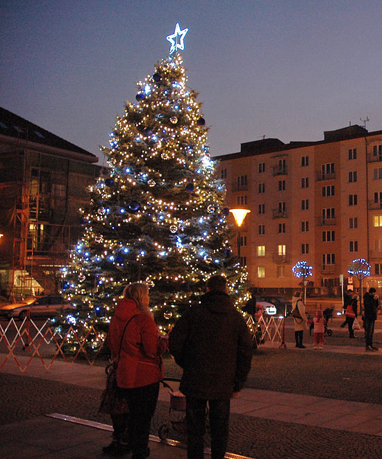 vánoční strom 2015