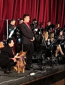Ilustrační foto k článku: Dobročinný koncert pro psí útulek vynesl téměř 34 tisíc korun