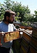 Ilustrační foto k článku: Zjara naše včely létají na javory do Pustého žlebu, říká včelař René Švancara z Veselice