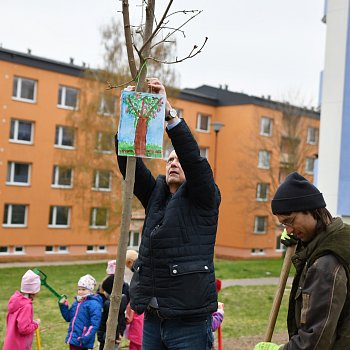 
                                Čerstvě zasazené javory děti ozdobily také vlastnoručně malovanými obrázky stromů. FOTO: Michal Záboj
                                    