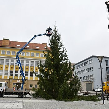 
                                V centru Blanska již stojí vánoční strom. FOTO: Michal Záboj
                                    