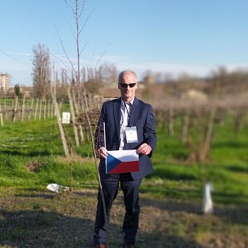
                                Místostarosta Ivo Stejskal zasadil stromu v městském lese Bosco dell'Europa. FOTO: archiv Iva Stejskala
                                    
