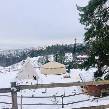 
                                I díky dotaci města mají v zimě děti z lesního klubu Kudlibabka komfortní zázemí v podobě nové jurty. FOTO: Kateřina Zukalová
                                    