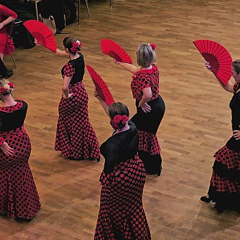 
                                Páteční večer patřil dvaadvacátému ročníku reprezentačního plesu ZŠ Blansko, Erbenova 13. FOTO: archiv školy
                                    