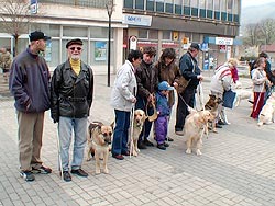 soutěž slepeckých psů