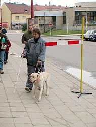 slepecký pes — obejítí překážky
