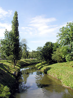 řeka Svitava