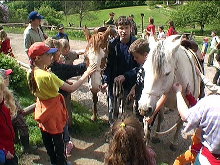 děti a koně