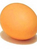 Ilustrační foto k článku: Soutěž o nejlepší design velikonočního vajíčka