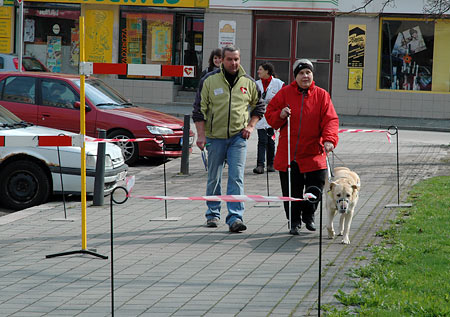 vodicí pes vede nevidomého skrz překážky