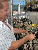 Ilustrační foto k článku: Emil Vašíček se věnuje kaktusům už 45 let