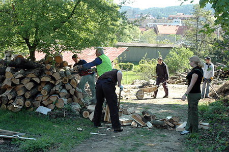 zpracování dřeva