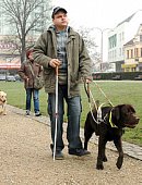 Ilustrační foto k článku: Vodicí psi pro nevidomé soutěžili v Blansku