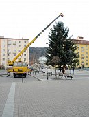 Ilustrační foto k článku: Rozsvícení vánočního stromu – fotoreportáž