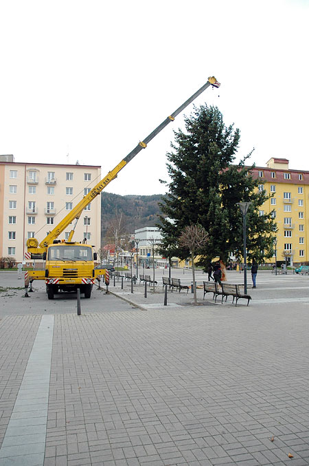 vánoční strom 2013