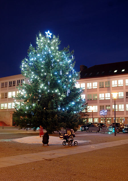 vánoční strom 2013