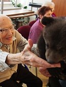 Ilustrační foto k článku: Medvědí miminka potěšila děti i seniory