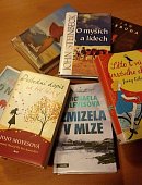 Ilustrační foto k článku: Knihovna v Dolní Lhotě dostala k Vánocům nové knihy