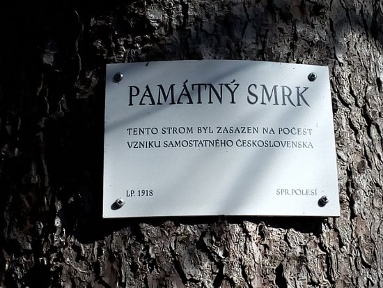 pamatny-strom-13723-0_550.jpg