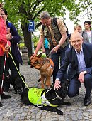 Ilustrační foto k článku: Nevidomí s vodicími psy soutěžili v ulicích Blanska