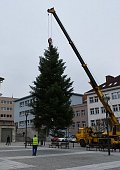 Ilustrační foto k článku: Náměstí Republiky už zdobí vánoční strom