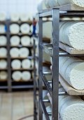 Ilustrační foto k článku: V Otinovsi zpracovávají mléko z Moravského krasu, sýr Niva se tam vyrábí od roku 1963