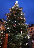 Ilustrační foto k článku: Na náměstí Republiky už svítí vánoční strom. Advent zahájili on-line