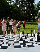 Ilustrační foto k článku: S motorovými pilami vyřezali šachové sochy. Vydražily se za 180 tisíc pro chráněné bydlení Betany