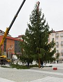 Ilustrační foto k článku: Vánoční strom už dorazil na náměstí. Program nabídnou adventní soboty