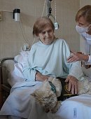 Ilustrační foto k článku: S rehabilitací pacientů v blanenské nemocnici opět pomáhá canisterapie