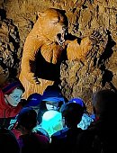 Ilustrační foto k článku: Medvěd Bruno provede děti jeskyní Výpustek