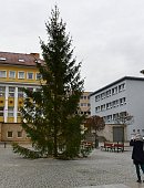 Ilustrační foto k článku: Vánoční strom se na náměstí Republiky rozsvítí v pátek 25. listopadu