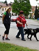 Ilustrační foto k článku: Soutěž Cesta ve tmě prověří vodicí psy nevidomých
