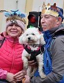 Ilustrační foto k článku: Sezonu v Moravském krasu zahájili rekordem: 465 korunovaných turistů a patnáct psů