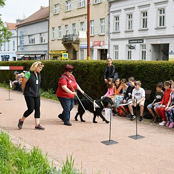 
                                V centru Blanska začala tradiční soutěž vodicích psů Cesta ve tmě. FOTO: Michal Záboj
                                    