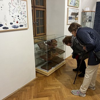 
                                Výstava Apolenka z modrotisku přibližuje lidem tradiční řemeslo modrotisku. FOTO: Pavlína Komínková
                                    