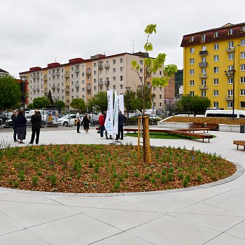 
                                Na náměstí přibyla zeleň. FOTO: Michal Záboj
                                    