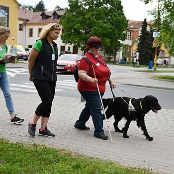 
                                V centru Blanska začala tradiční soutěž vodicích psů Cesta ve tmě. FOTO: Michal Záboj
                                    