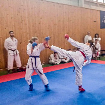 
                                V sobotu probíhal v hale na Starém Blansku turnaj v karate. FOTO: Petr Latner
                                    