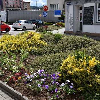
                                Během jarních měsíců osadil městský zahradník kruhové objezdy květinami. FOTO: Leona Voráčová
                                    