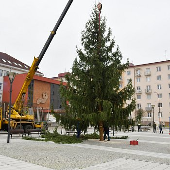 
                                V centru Blanska již stojí vánoční strom. FOTO: Michal Záboj
                                    