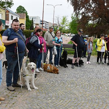 
                                V centru Blanska v pátek začala tradiční soutěž vodicích psů Cesta ve tmě. FOTO: Michal Záboj
                                    