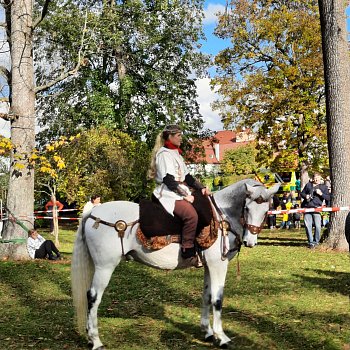 
                                Jezdecká show v zámeckém parku. FOTO: Jana Vintrová
                                    