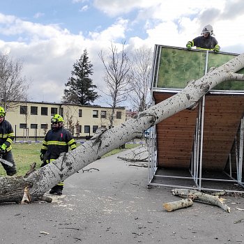 
                                Spadlý strom odstranili hasiči z Klepačova. FOTO: SDH Klepačov
                                    