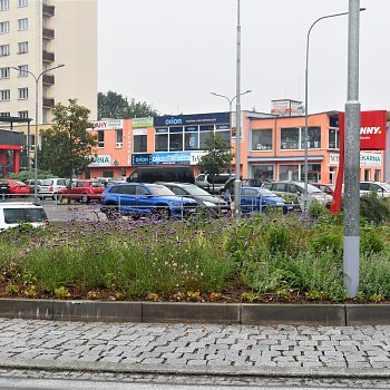 
                                Kruhový objezd u Lidlu osadil městský zahradník postupně vykvétajícími trvalkami. FOTO: Leona Voráčová
                                    
