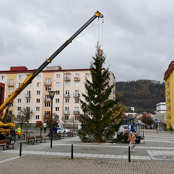 
                                Na náměstí Republiky stojí vánoční strom. FOTO: Michal Záboj
                                    