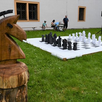 
                                Částka za vydražené šachové figury poputuje na podporu charitativního bydlení Betany. FOTO: archiv Uměleckého centra Art-tep
                                    